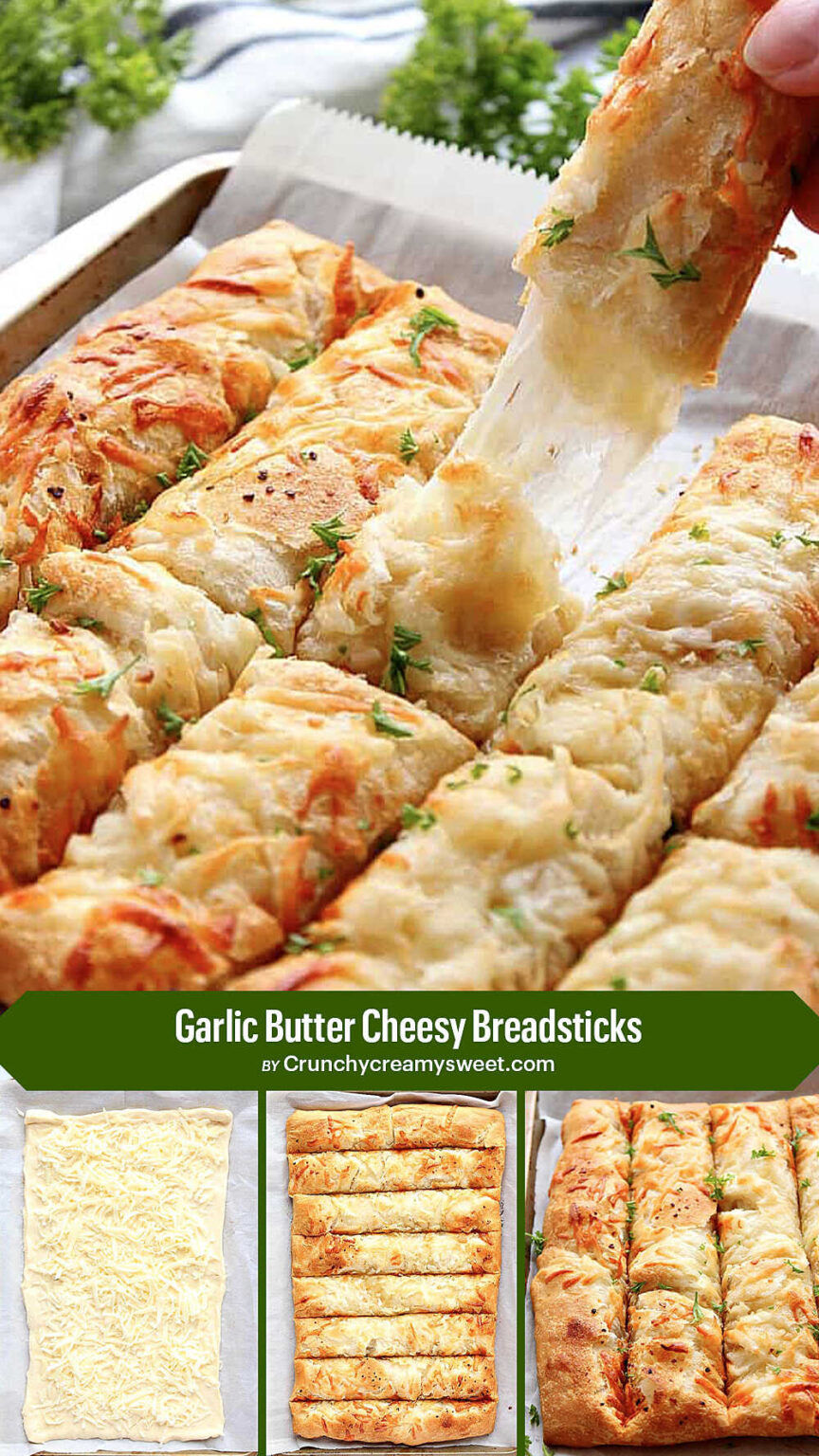 Best Cheese Snack Recipes Penguin Hobbies