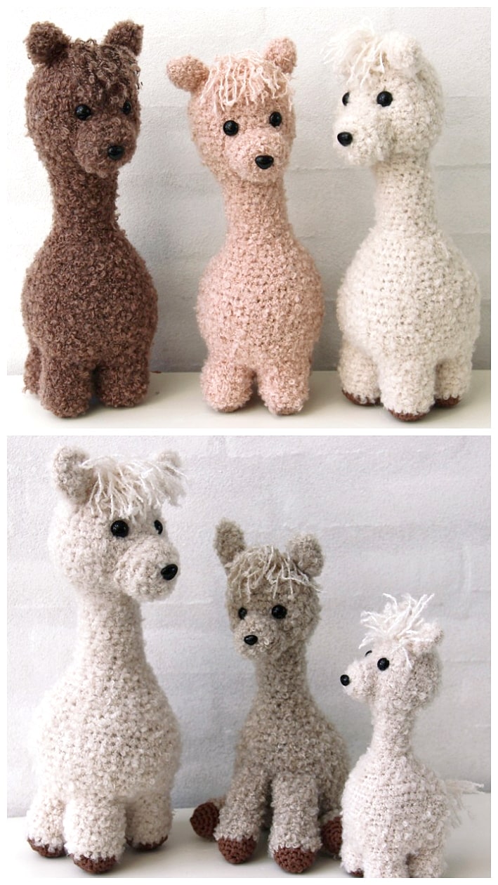 Alpaca Family, Patterns